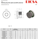 Socket Head Port Plug, BSP Series, VSTI-BSP | TTA Hyd